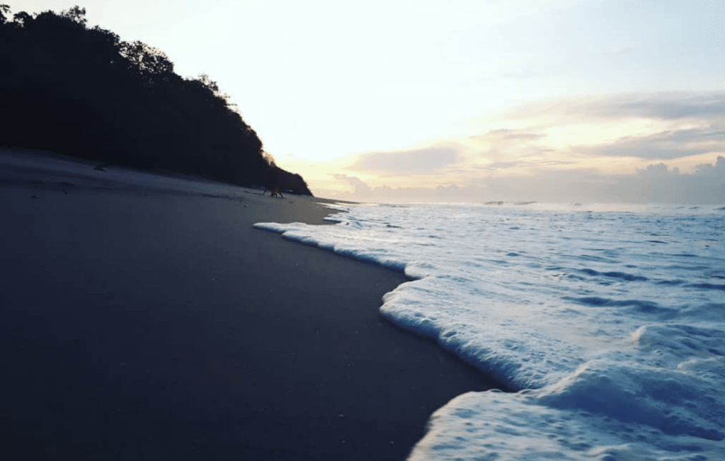 Playa Los Panamaes