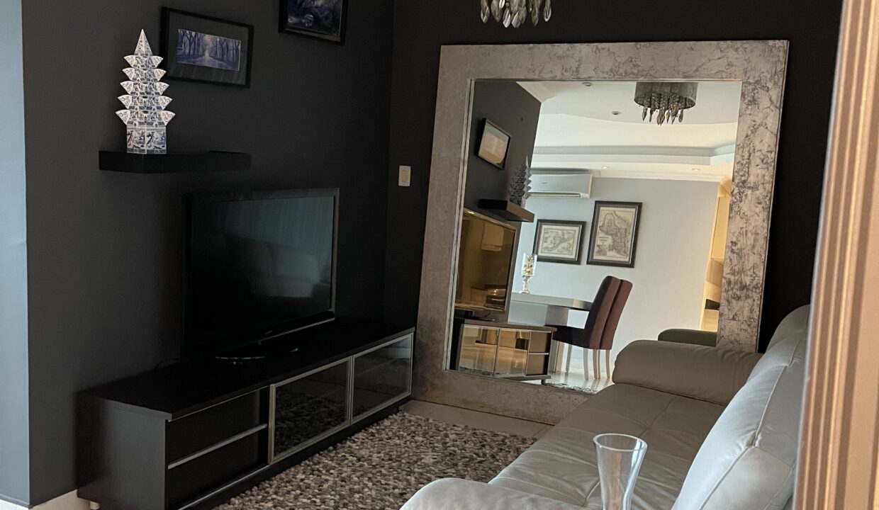 Allure Avenida Balboa Panama condo for sale(11)