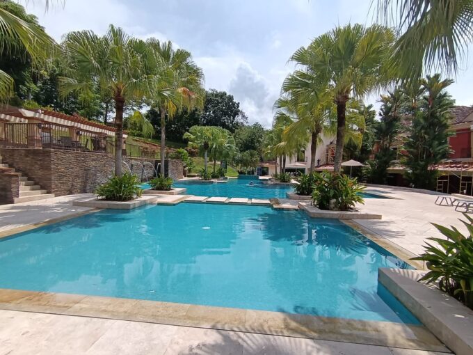 Picture of a swimming pool with palm trees at Embassy Club, Clayton