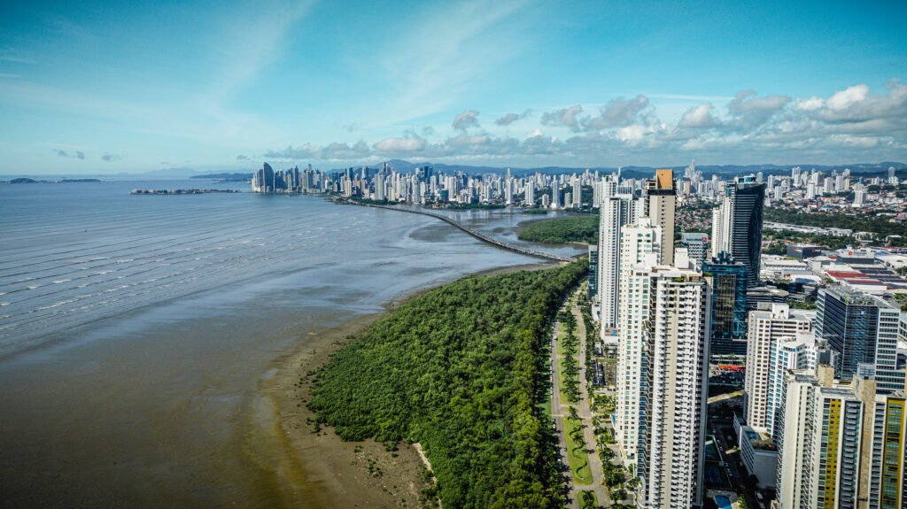Ocean and green views from the Tagua building