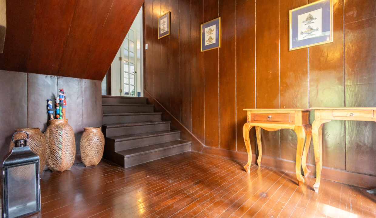 Casa Gorgas Cerro Ancon Estate for sale (75)