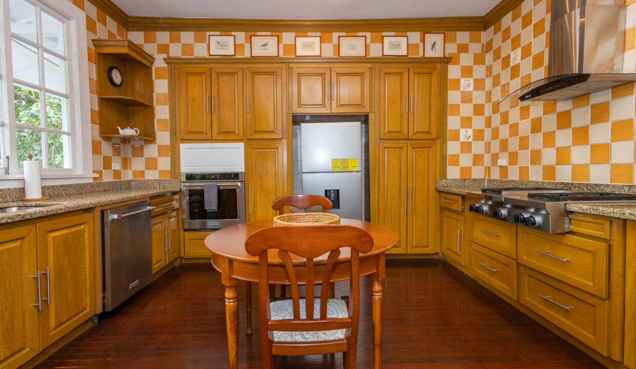 Casa Gorgas Cerro Ancon Estate for sale (65)