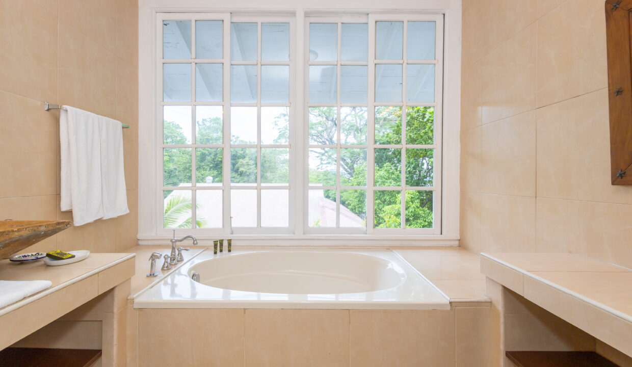 Casa Gorgas Cerro Ancon Estate for sale (56)