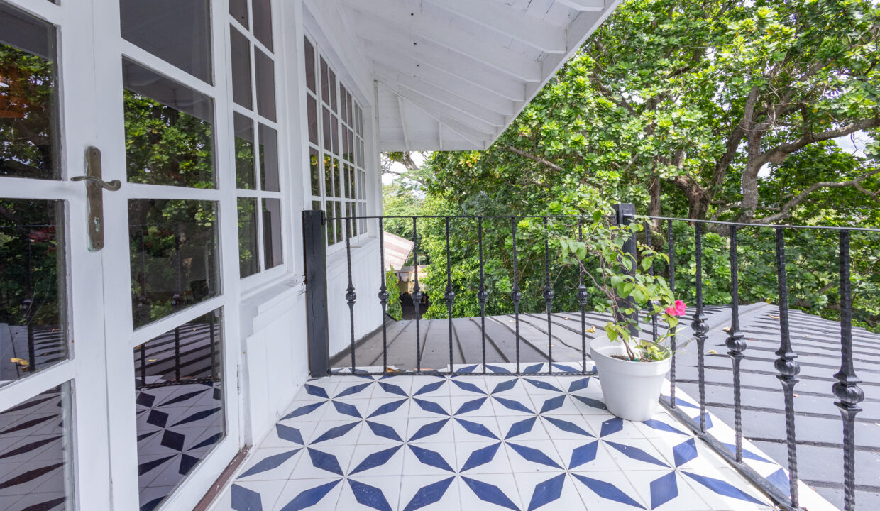 Casa Gorgas Cerro Ancon Estate for sale (43)