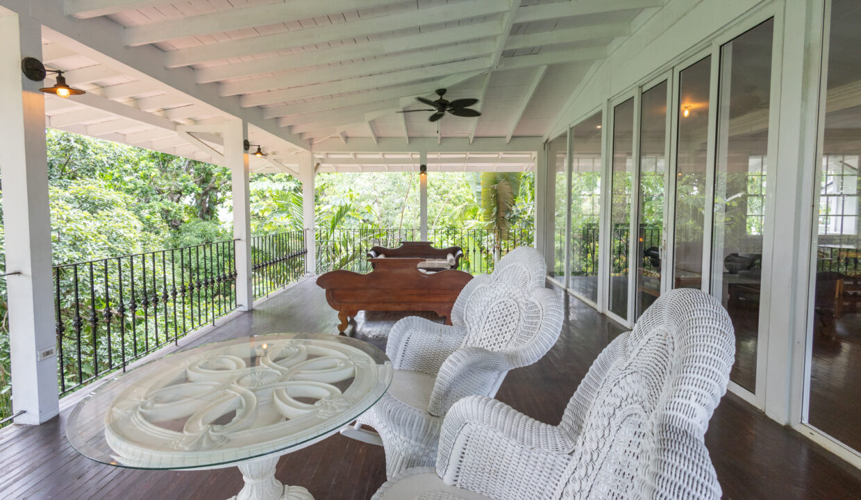 Casa Gorgas Cerro Ancon Estate for sale (40)