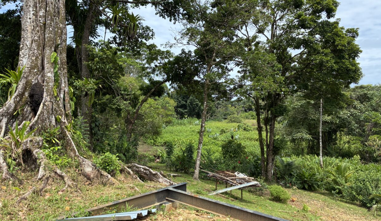 Burn Brae Plantation Bocas del Toro home for sale (11)