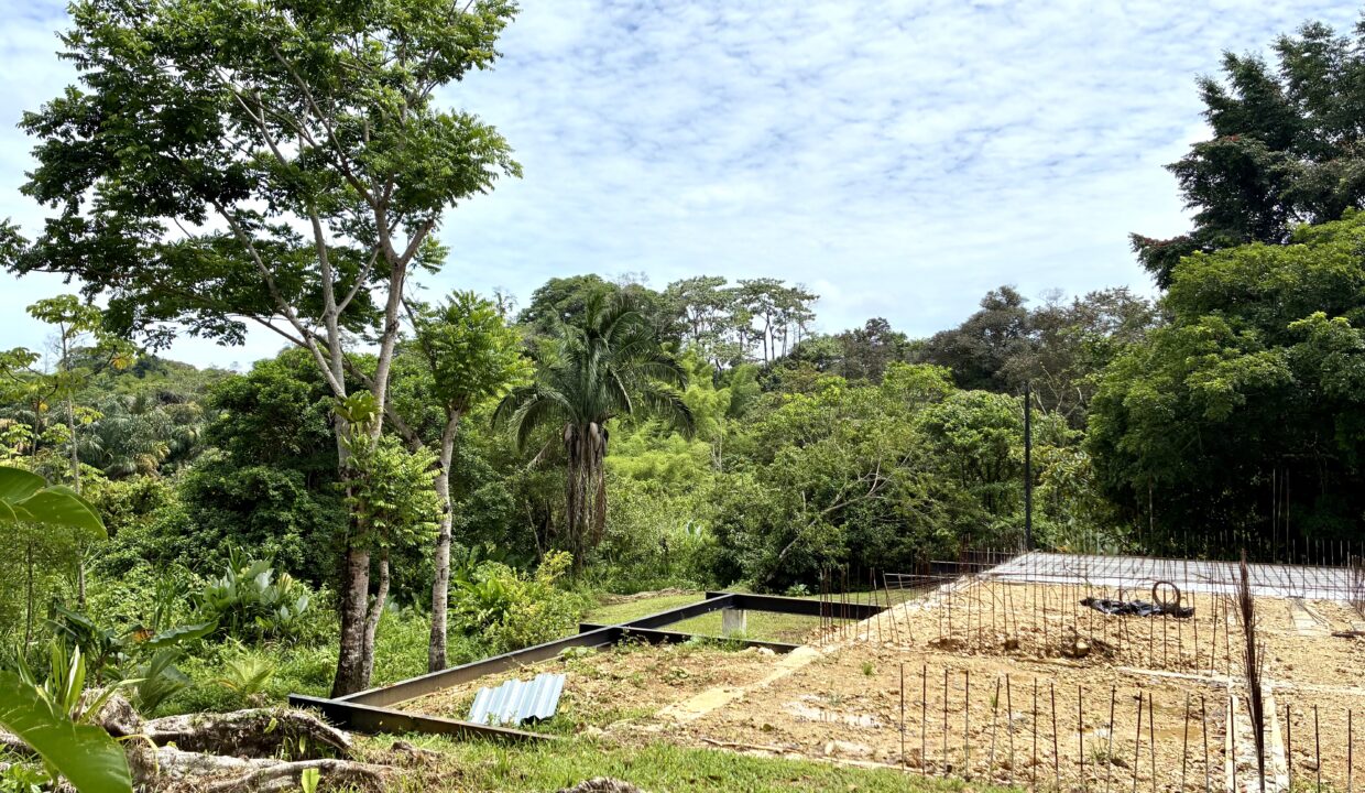 Burn Brae Plantation Bocas del Toro home for sale (3)