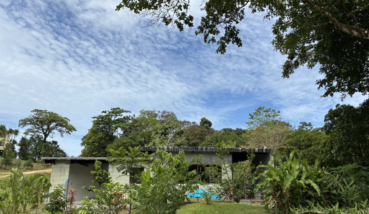 Burn Brae Plantation Bocas del Toro home for sale (1)