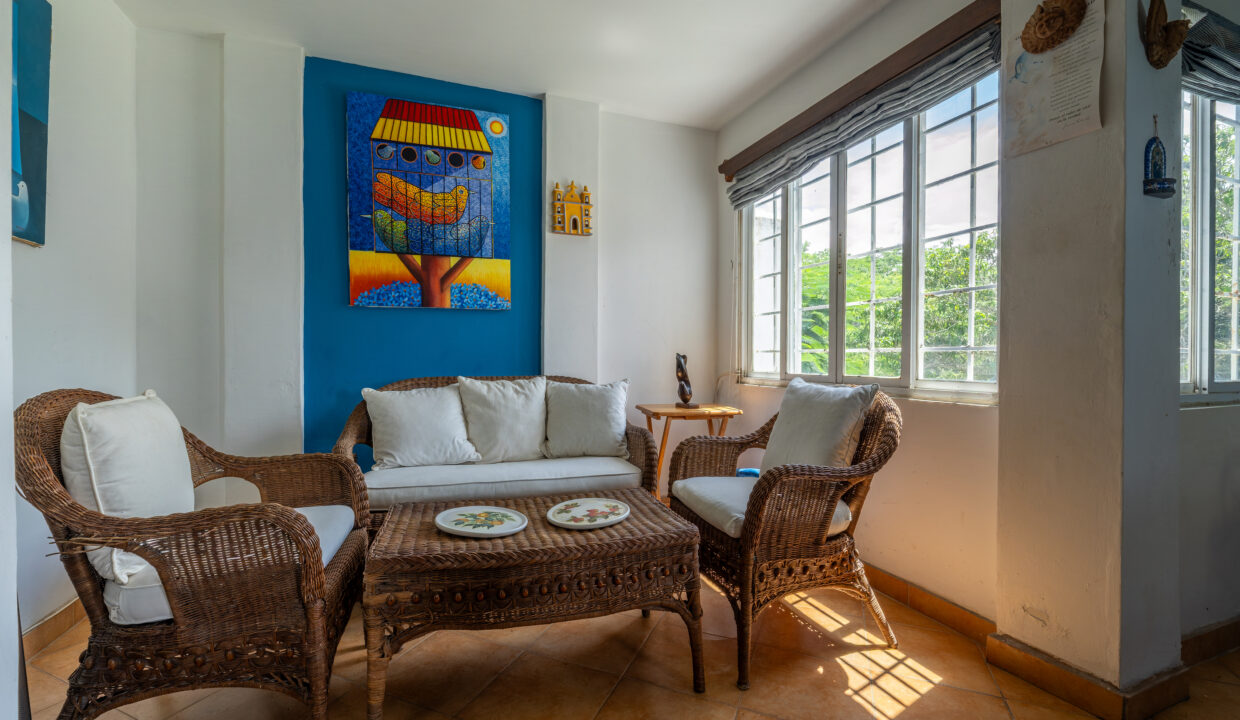 Oceanfront villa for sale in playa malibu