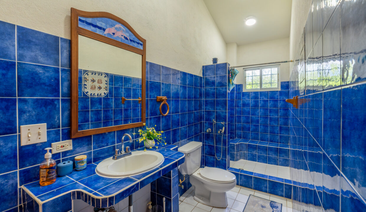 Oceanfront villa for sale in playa malibu