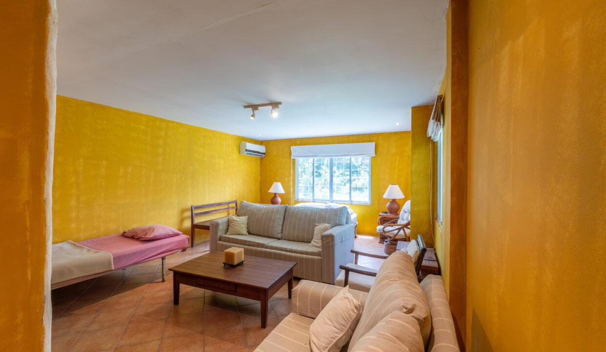 Oceanfront villa for sale in playa malibu