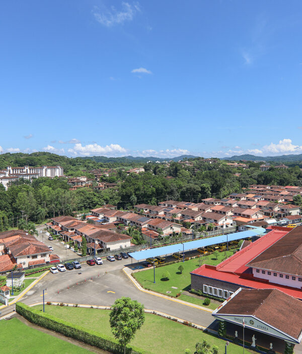 Image of surrounding green spaces in Pine Hill