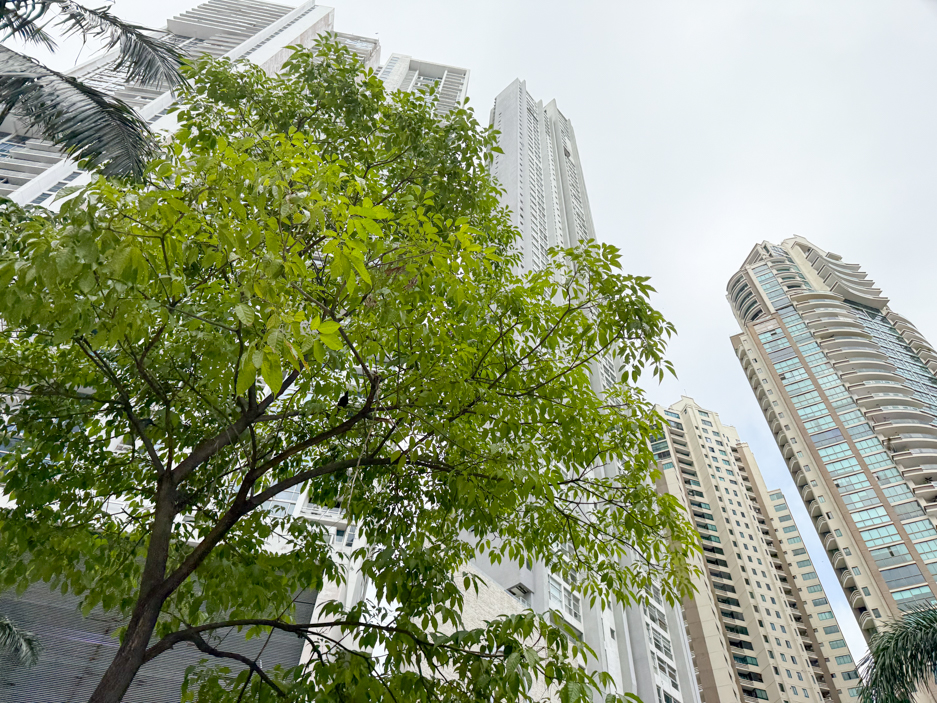 Image of the outside of Q Tower