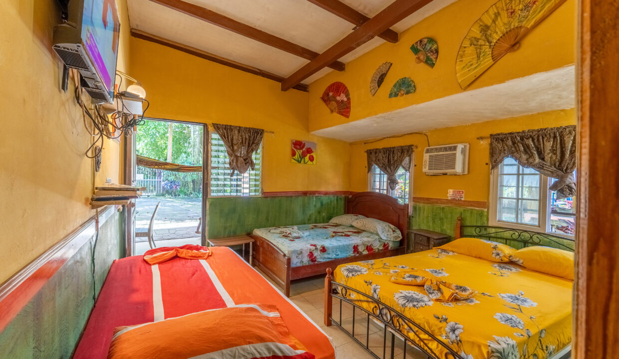 Mixed use property for sale in downtown El Valle for sale