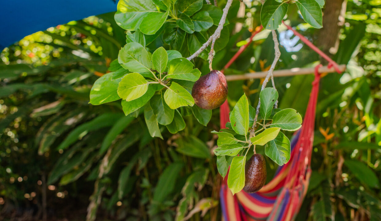 Turnkey Bed & Breakfast for Sale in Coronado