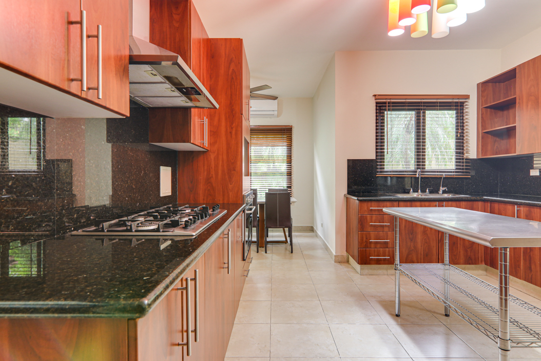 Costa del Este kitchen