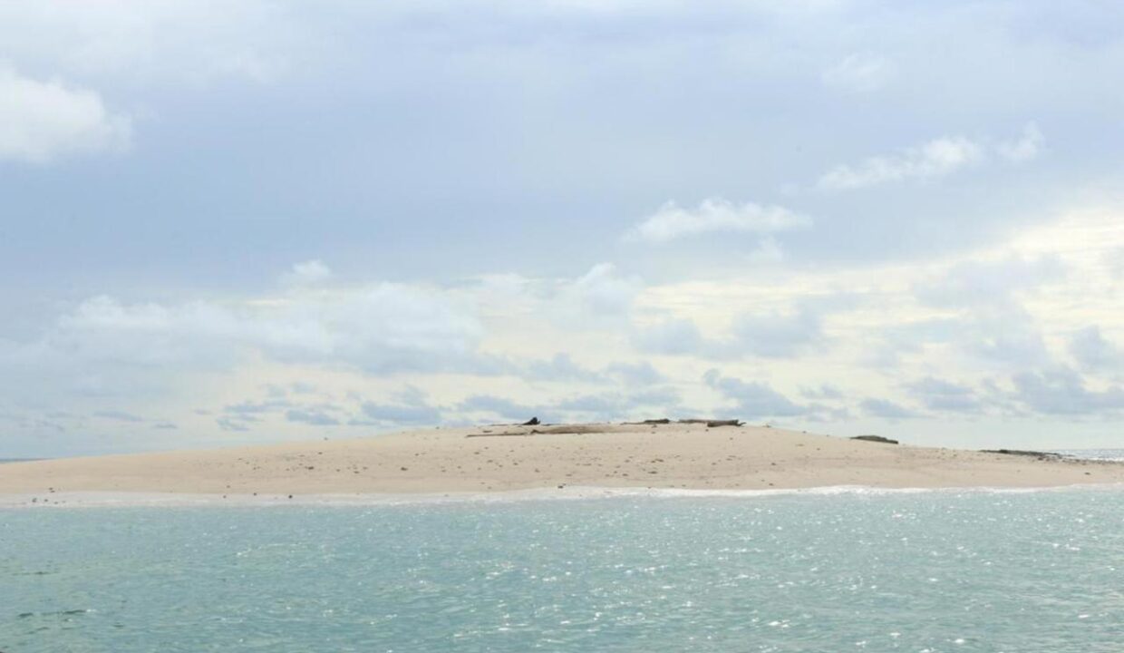 Les Blanc Towers Isla Contadora Panama hotel for sale (6)