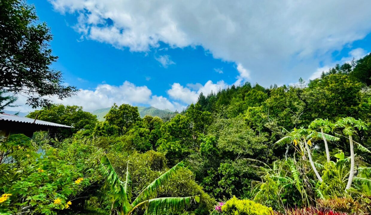 Toscana Altos del Maria Panama home for sale6_