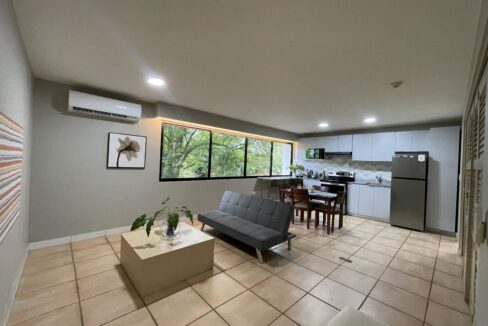 Image of living area with furniture in this condo for sale in Coronado Suites