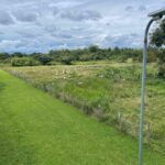 Image of this 45,000 m² Farm for Sale in El Chirú