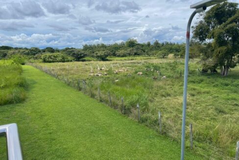 Image of this 45,000 m² Farm for Sale in El Chirú