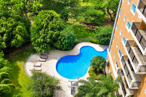 Beautiful swimming pool surrounded by greenery in Alcazar