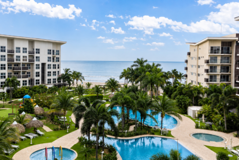 Large swimming pool surrounded by palm trees and facing the water in Ventanas del Mar